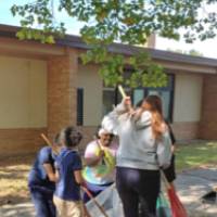 students raking at Shawmut Hills sycamore circle mural site